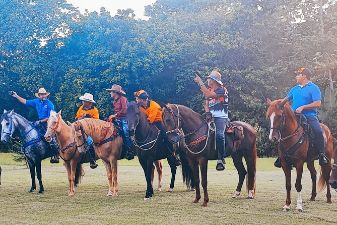 Horseback Riding tour near Santo Domingo with pick up and dropoff - Key points to know before you book