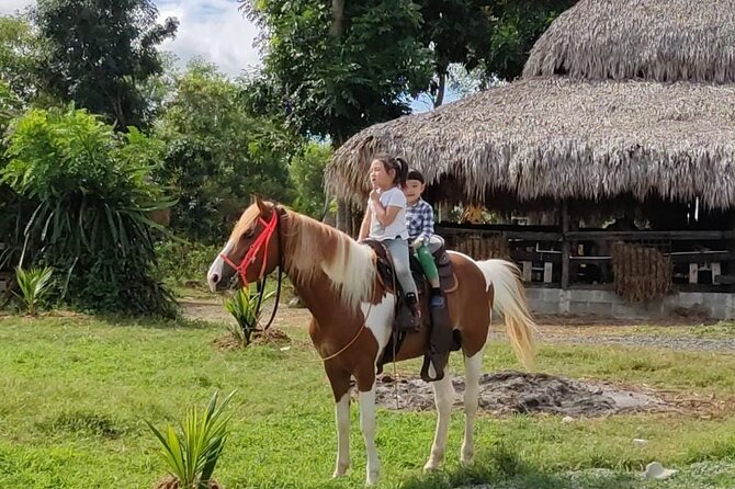 Horseback Riding tour near Santo Domingo with pick up and dropoff - A quick rural escape from Santo Domingo