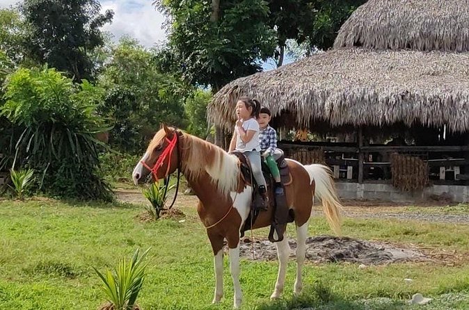 Horseback Riding tour near Santo Domingo with pick up and dropoff - Private transport makes the $95 price easier to judge