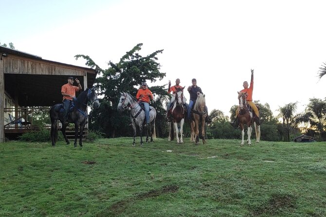 Horseback Riding tour near Santo Domingo with pick up and dropoff - Timing, traffic, and the weather warning