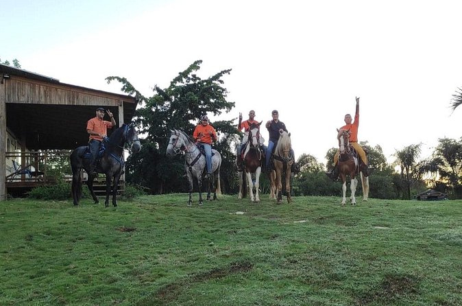 Horseback Riding tour near Santo Domingo with pick up and dropoff - Who will enjoy this horseback ride