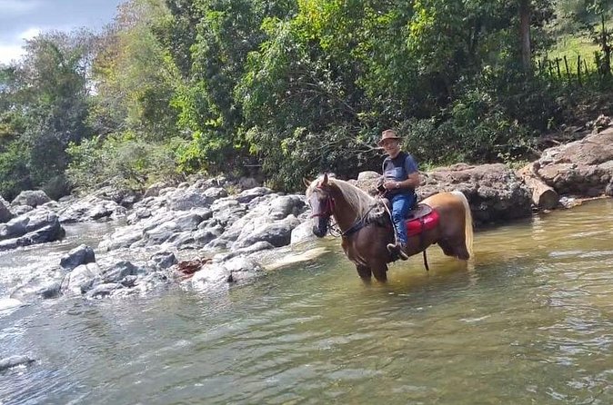 Horseback Riding tour near Santo Domingo with pick up and dropoff - What the small number of ratings tells you
