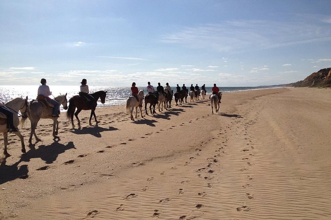 Horseback riding tour of Doñana and visit of El Rocio - El Rocio and its famous sanctuary