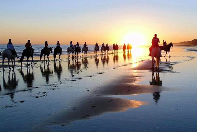 Horseback riding tour of Doñana and visit of El Rocio - Riding through beach, dunes, and pine forest