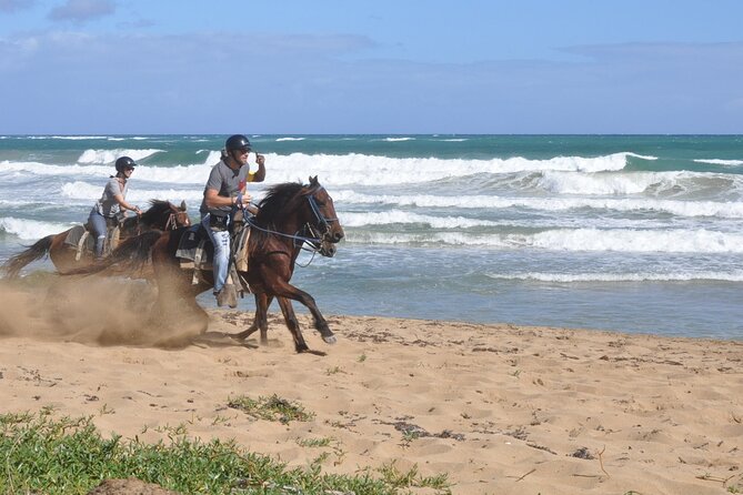 Horseback Riding Tour on the Beaches of Punta Cana - From the estancia to Macao Beach