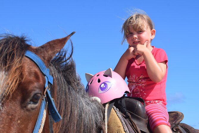 Horseback Riding Tour on the Beaches of Punta Cana - Pickup and the open-air ride to the ranch