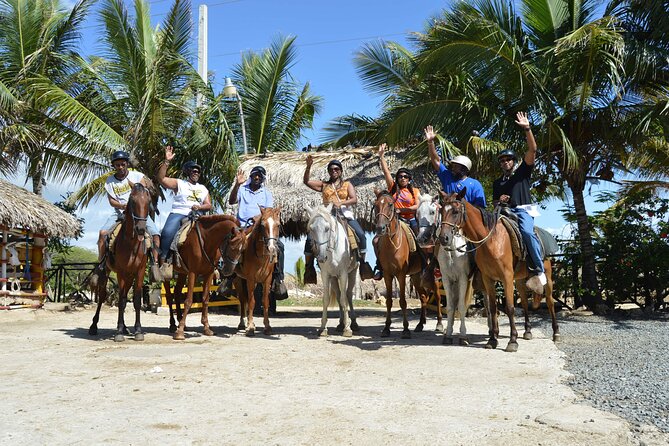Horseback Riding Tour on the Beaches of Punta Cana - Who will enjoy this Punta Cana ride?