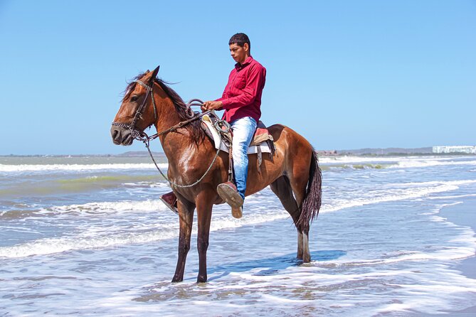 Horseback Riding Tour through the Beaches of Cartagena de Indias - Arriving at the quiet beach north of Cartagena
