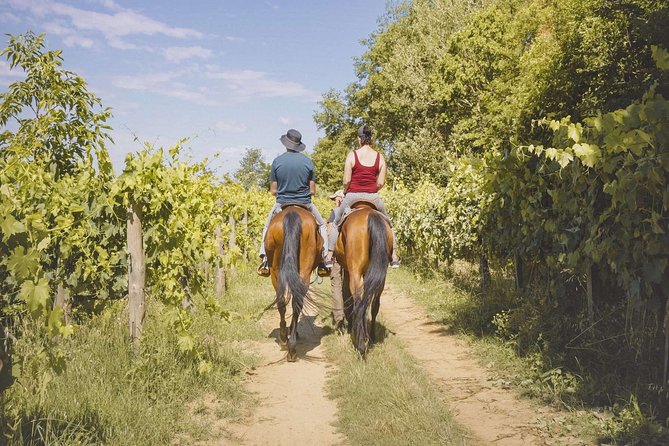 Horseback Riding Tour with Tuscan Picnic in Val d'Orcia and Valdichiana - Key points to know before booking