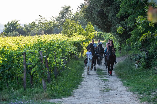 Horseback Riding Tour with Tuscan Picnic in Val d'Orcia and Valdichiana - Meeting the horses and getting comfortable
