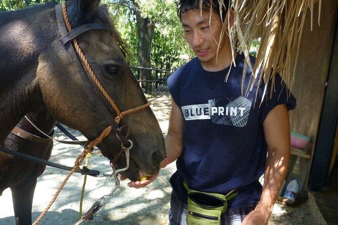 Horseback riding tours from amber cove & Taino bay port silver - What the $95 price really covers