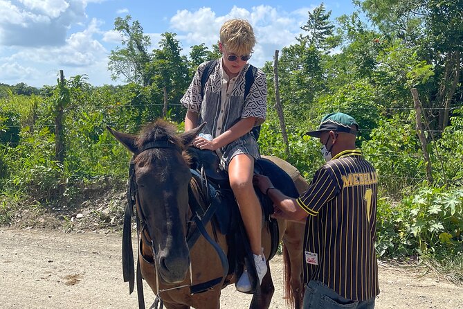 Horseback riding tours from amber cove & Taino bay port silver - The safety questions I would ask first