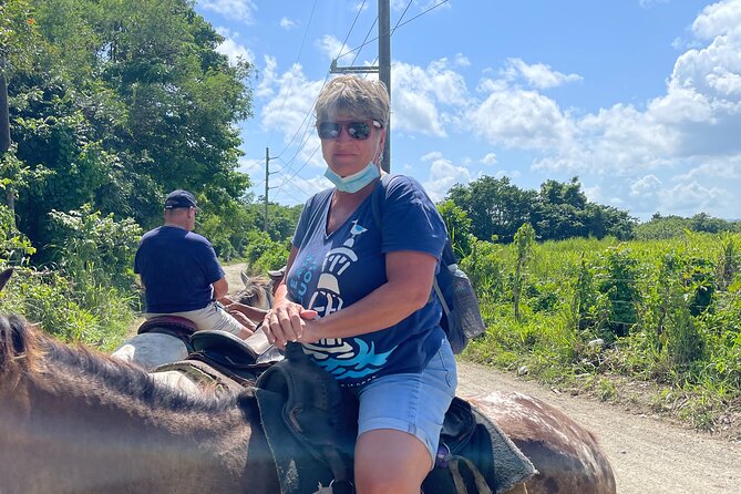 Horseback riding tours from amber cove & Taino bay port silver - Meeting the horses and matching your riding level