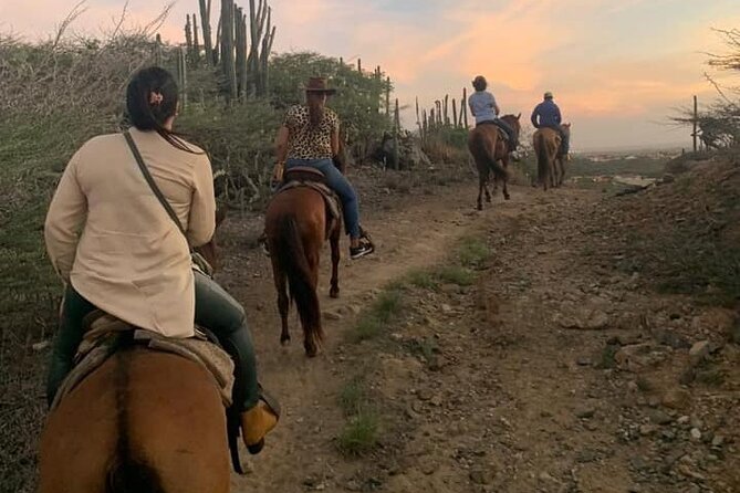 Horseback Riding Wariruri Beach Tour in Aruba - Who should book this ride?