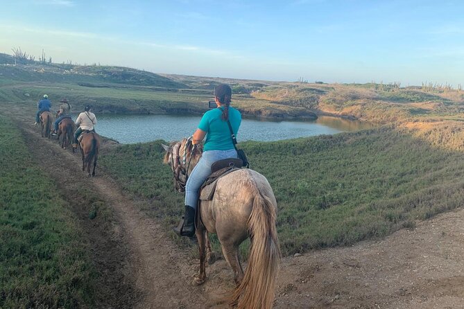 Horseback Riding Wariruri Beach Tour in Aruba - Should you book the Wariruri Beach ride?