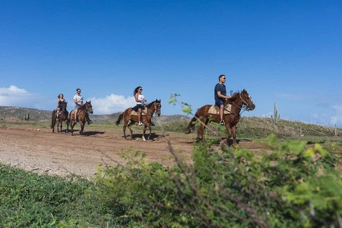 Horseback Riding Wariruri Beach Tour in Aruba - FAQ
