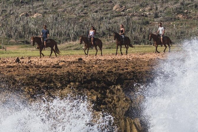 Horseback Riding Wariruri Beach Tour in Aruba - What the horses and guides add to the ride