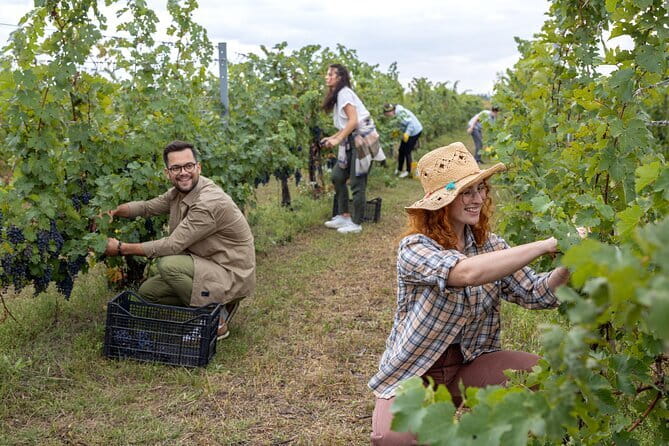 Horseback riding & Wine Tasting and snack Lunch at noble Estate - Three wines, dessert wine, and a proper Tuscan snack