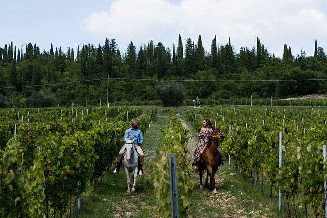 Horseback riding & Wine Tasting and snack Lunch at noble Estate - What the private format is worth