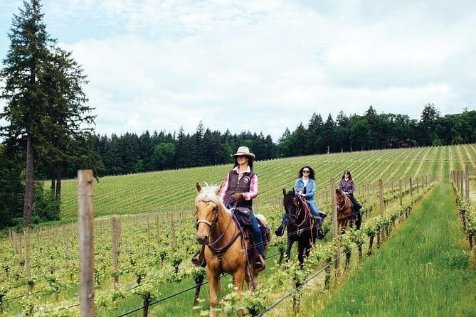 Horseback riding & Wine Tasting and snack Lunch at noble Estate - Who should book this experience?