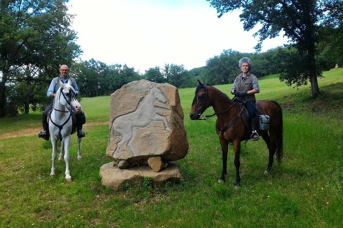 Horseback riding & Wine Tasting and snack Lunch at noble Estate - Meeting your horse and finding your pace