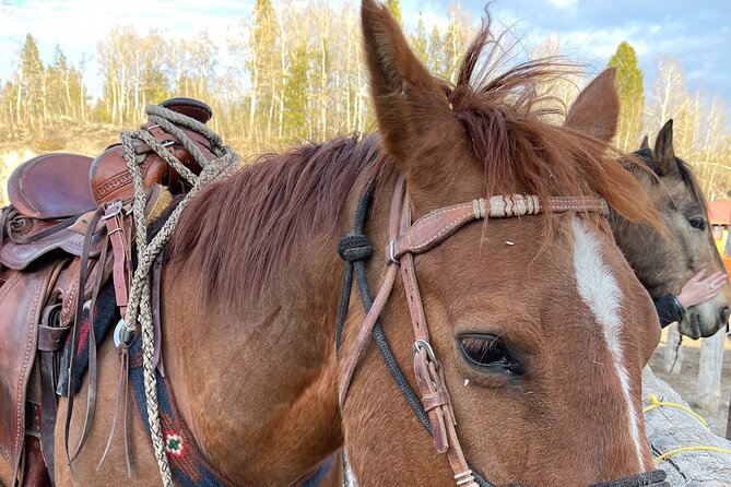 Horseback Riding with Grand Teton Views in Jackson Hole - Group size, mounting, and the slow part of the day