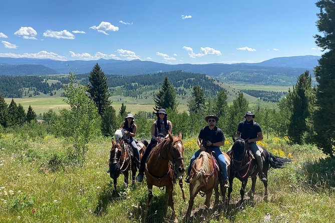 Horseback Riding with Grand Teton Views in Jackson Hole - Who should book this ride