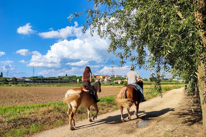 Horseback Riding with Pic Nic in Lazise Countryside - Key points to know before you book