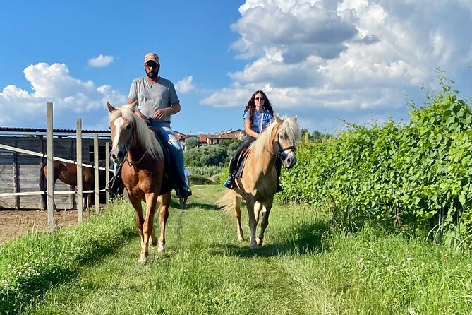 Horseback Riding with Pic Nic in Lazise Countryside - A quiet ride beyond Lake Garda’s busy shore