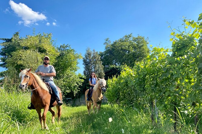 Horseback Riding with Pic Nic in Lazise Countryside - Apicoltura Morati and the tasting under the vineyard