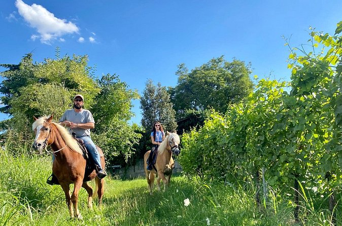 Horseback Riding with Pic Nic in Lazise Countryside - Who will enjoy this morning most?