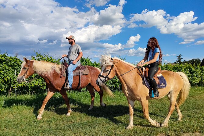 Horseback Riding with Pic Nic in Lazise Countryside - The best way to prepare