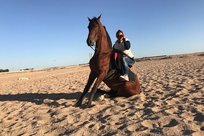 Horseback Riding with Pickup and Drop-off from Sharm El Sheikh - Two hours by the sea and into the desert