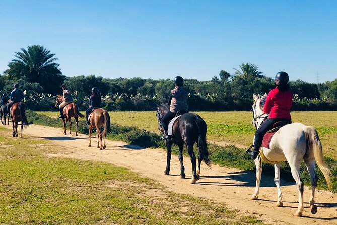 Horseback riding with private transfer - The possible route through Sahline