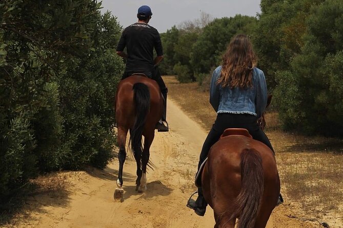 Horseback riding with private transfer - Reaching the beach when conditions allow