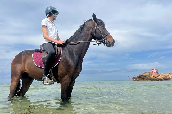 Horseback riding with private transfer - Why the private transfer matters