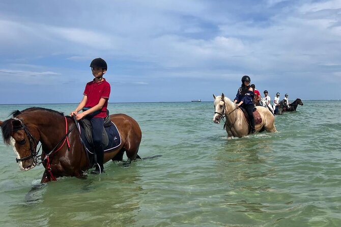 Horseback riding with private transfer - The three-hour timing and what to wear
