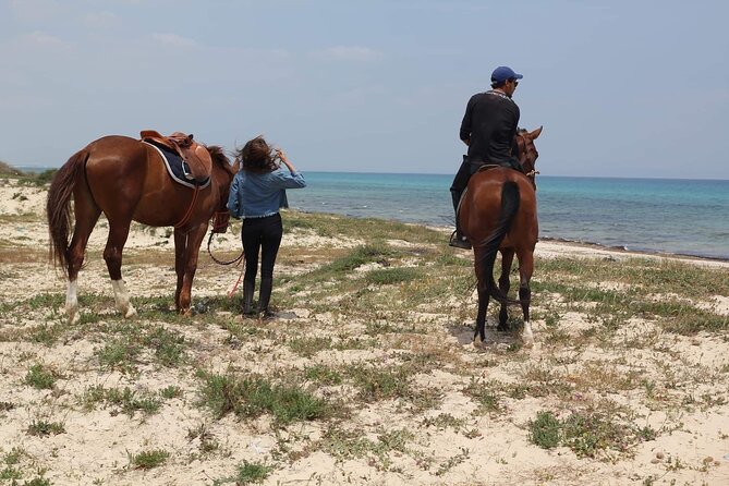 Horseback riding with private transfer - Who will get the most from this ride