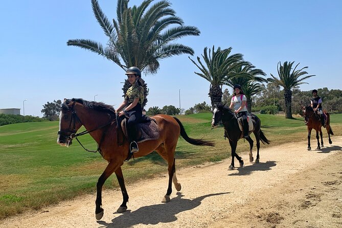 Horseback riding with private transfer - Value at $62.72 per person