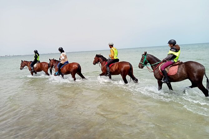 Horseback riding with private transfer - Meeting the horses and learning the basics