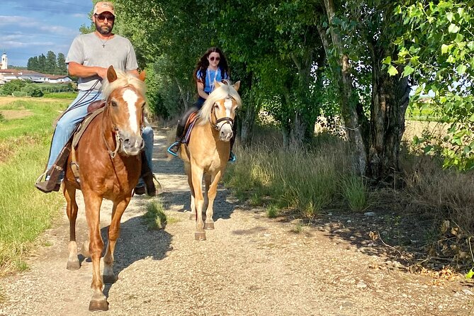 Horseback Riding with wine tasting in Lake Garda vineyards - Who should book this three-hour outing