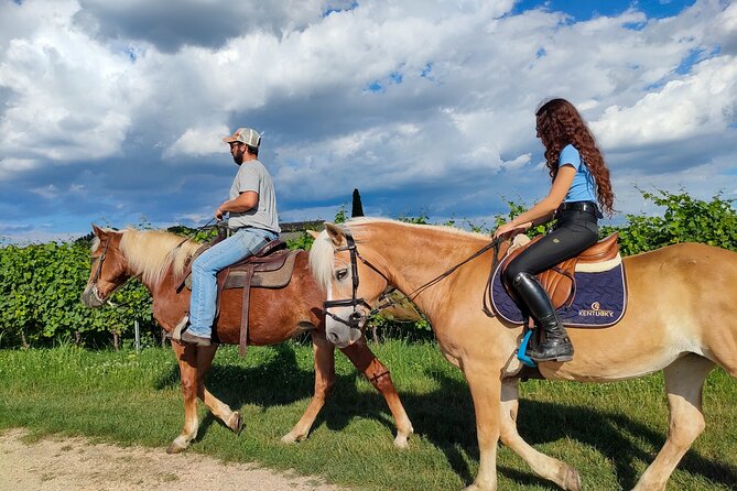 Horseback Riding with wine tasting in Lake Garda vineyards - Practical details before you reserve
