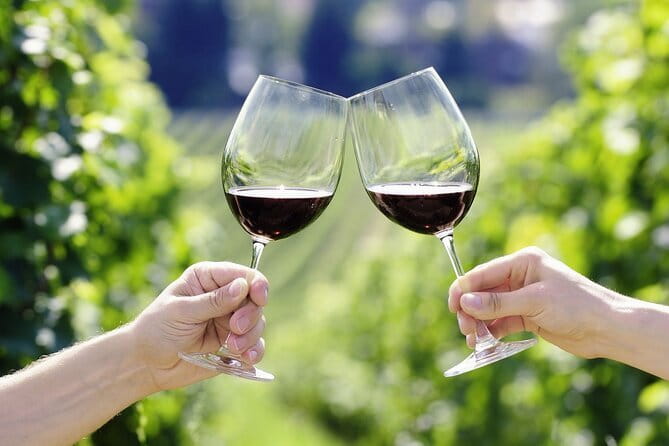 Horseback Riding with Wine Tour from Florence - One hour on horseback in the Chianti hills