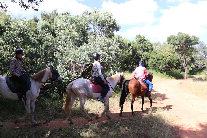 Horseback Safari Adventure in Hartbeespoort from Johannesburg - Hartbeespoort Dam adds a second kind of scenery