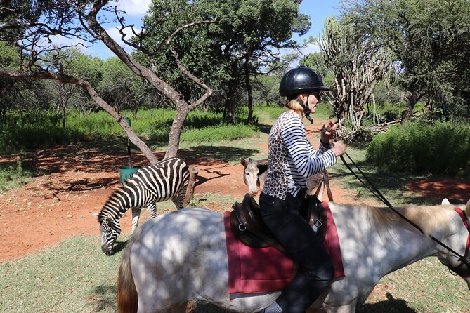 Horseback Safari Adventure in Hartbeespoort from Johannesburg - Who will enjoy this day most