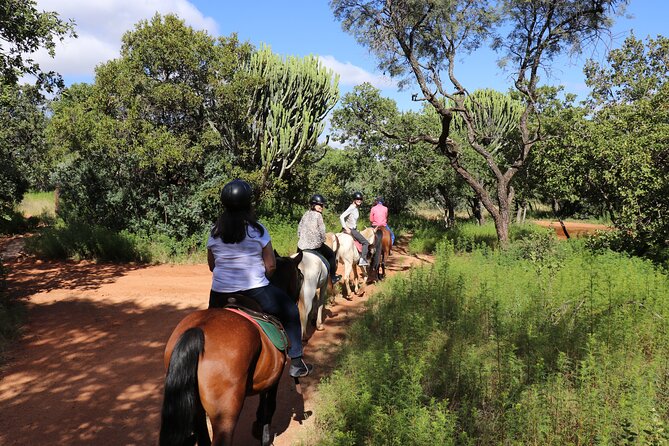 Horseback Safari Adventure in Hartbeespoort from Johannesburg - What the horseback safari feels like