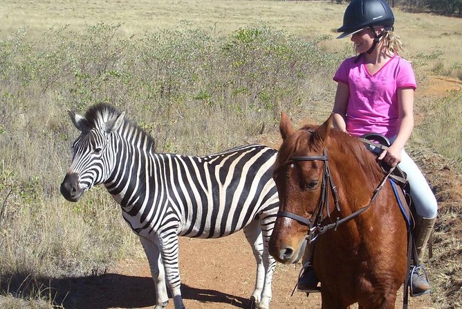 Horseback Safari Tour - Riding into the reserve near Cullinan