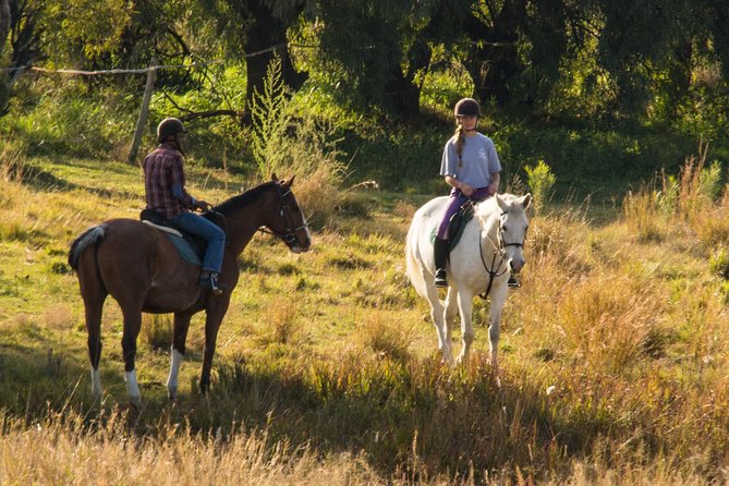 Horseback Small-Group Trail Rides in Muldersdrift - Starting at Shepherd’s Fold Stables in Muldersdrift