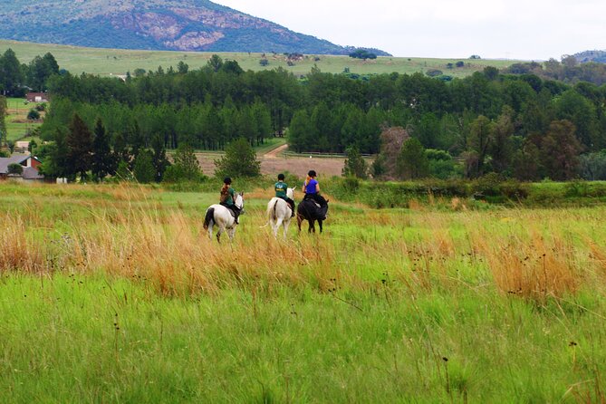 Horseback Small-Group Trail Rides in Muldersdrift - Stopping for views of Johannesburg and the Magaliesberg