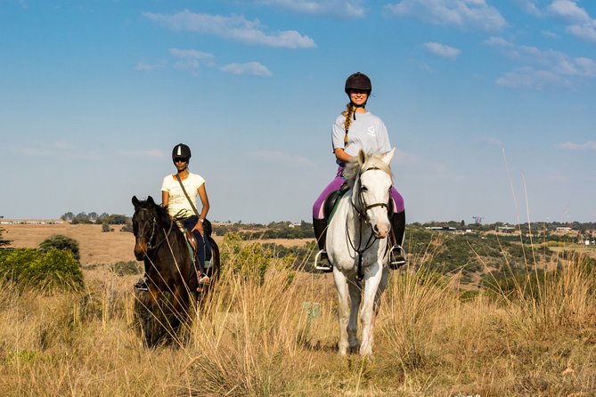 Horseback Small-Group Trail Rides in Muldersdrift - Meeting a calm horse and an experienced guide